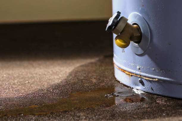Best Sewage cleanup and water damage restoration  in Germantown, WI