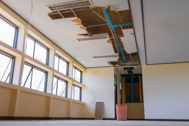 Best Professional water damage repair  in Germantown, WI