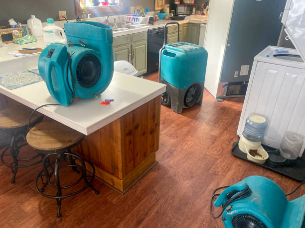 Best 24/7 water damage repair  in Germantown, WI