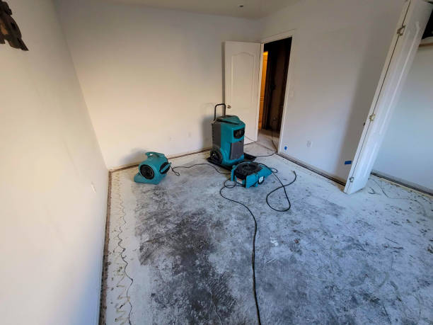 Best Local water damage restoration  in Germantown, WI