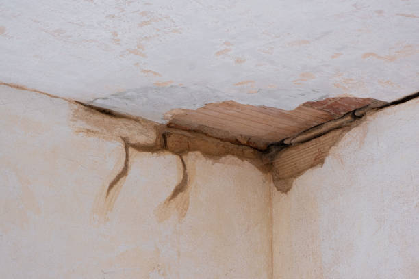 Best Mold removal after water damage  in Germantown, WI