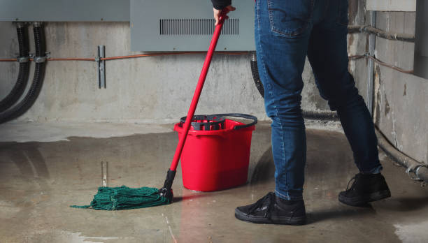 Best Basement water damage restoration  in Germantown, WI