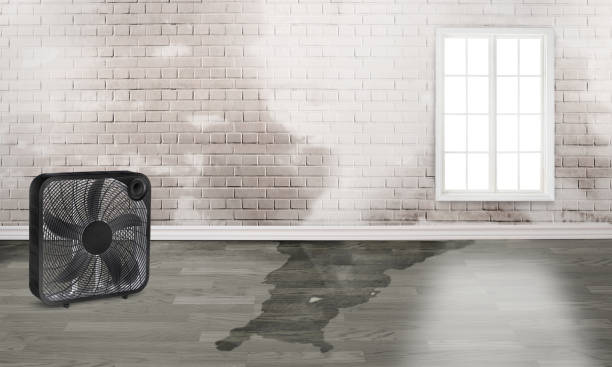 Best 24/7 water damage repair  in Germantown, WI
