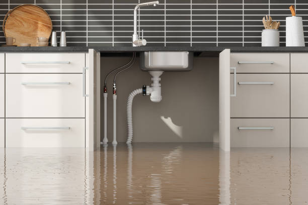 Best Flood damage cleanup  in Germantown, WI